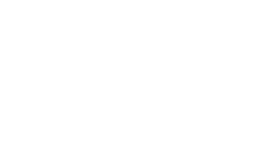 Servicios Fénix S.A.S.